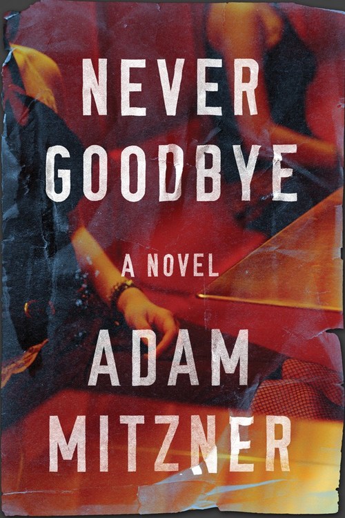 Never Goodbye by Adam Mitzner