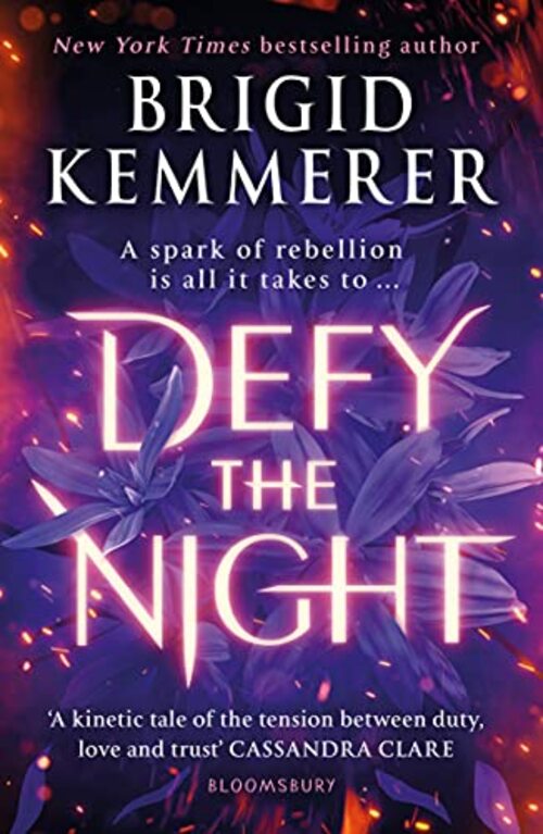 Defy the Night by Brigid Kemmerer