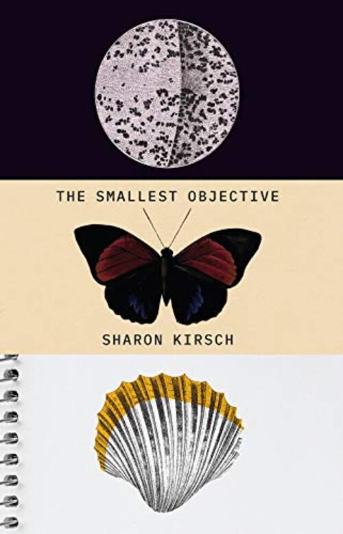 The Smallest Objective by Sharon Kirsch