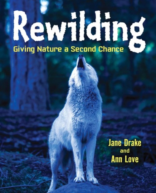 Rewilding by Ann Love
