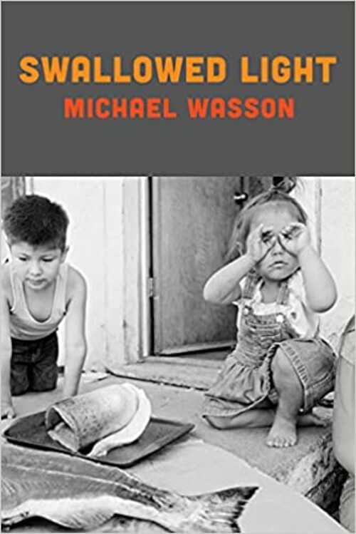 Swallowed Light by Michael Wasson