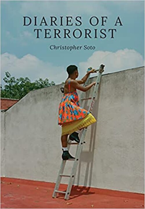 Diaries of a Terrorist