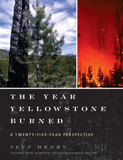 The Year Yellowstone Burned by Jeff Henry