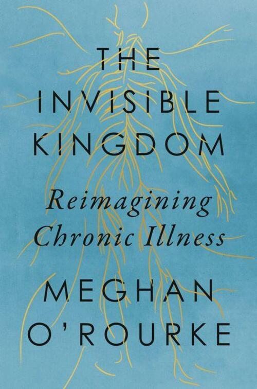 The Invisible Kingdom by Meghan O'Rourke