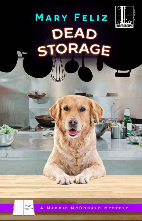Dead Storage by Mary Feliz
