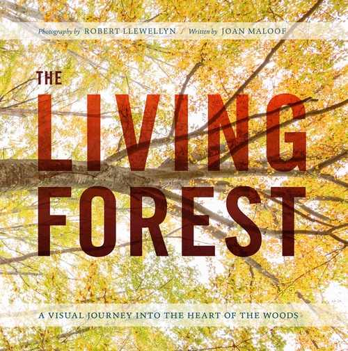 The Living Forest by Robert Llewellyn