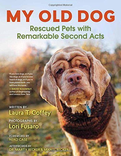 My Old Dog by Laura T. Coffey