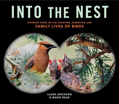 Into The Nest by Marie Read