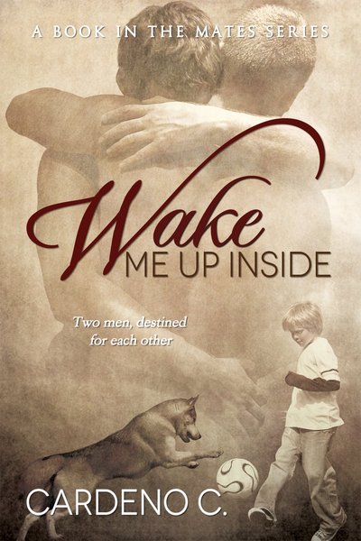 Wake Me Up Inside by Cardeno C.