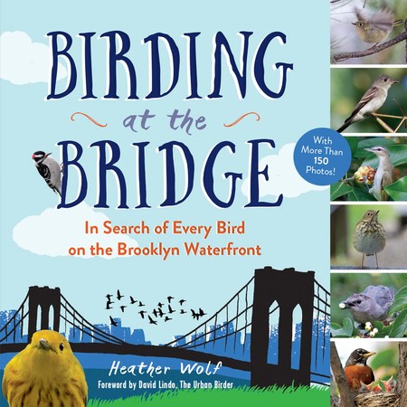 Birding at the Bridge by Heather Wolf