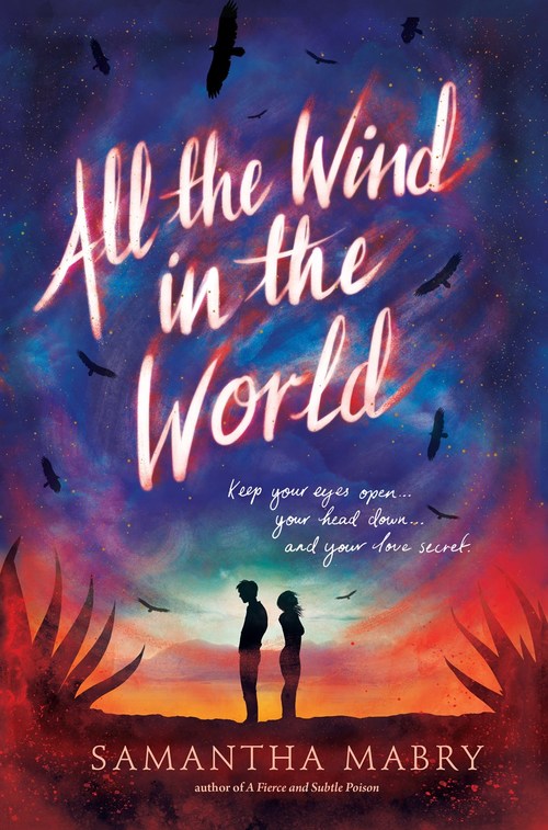 All the Wind in the World by Samantha Mabry