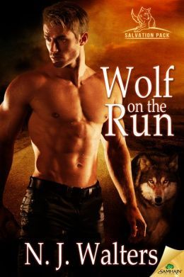 Wolf on the Run by N.J. Walters