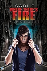 Where There's Fire by Cari Z