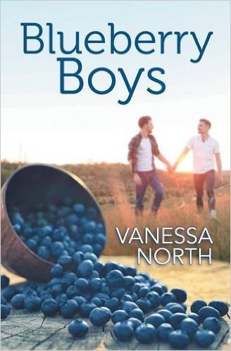 Blueberry Boys by Vanessa North