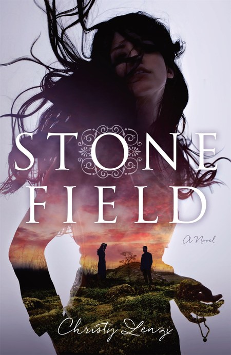 Stone Field by Christy Lenzi
