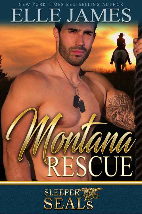 Montana Rescue by Elle James