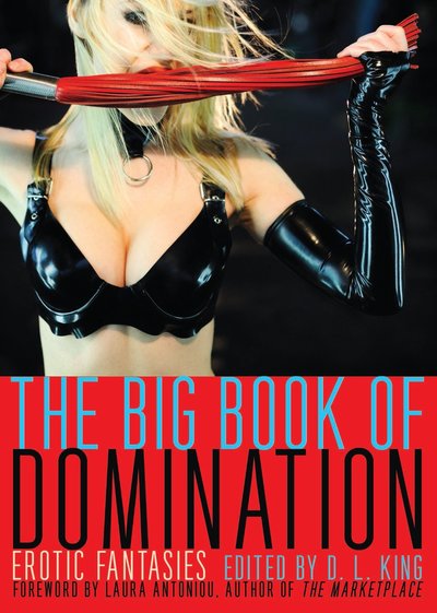 Excerpt of The Big Book Of Domination by D.L. King