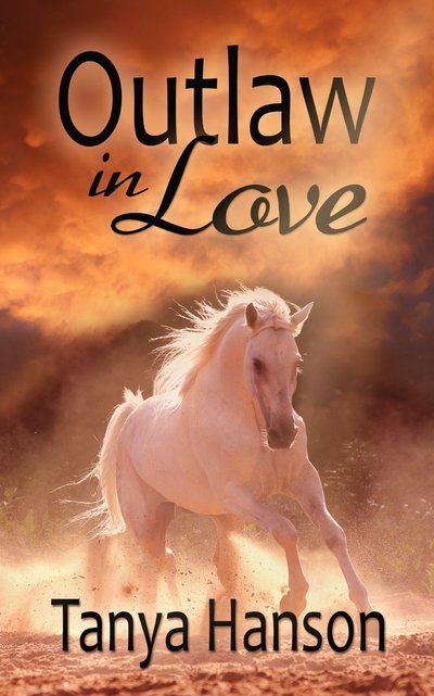 Outlaw in Love