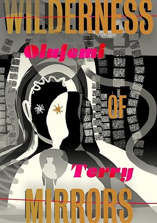 Wilderness of Mirrors by Olufemi Terry