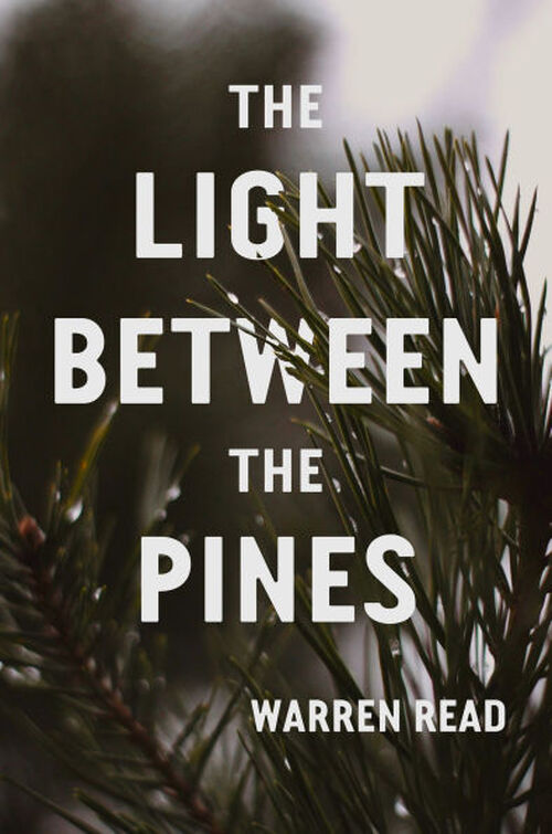 The Light Between the Pines
