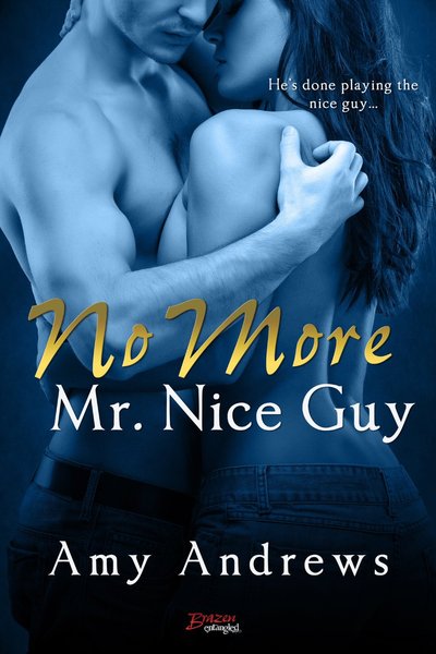No More Mr. Nice Guy by Amy Andrews