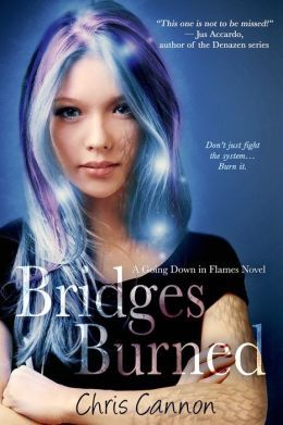 Bridges Burned by Chris Cannon