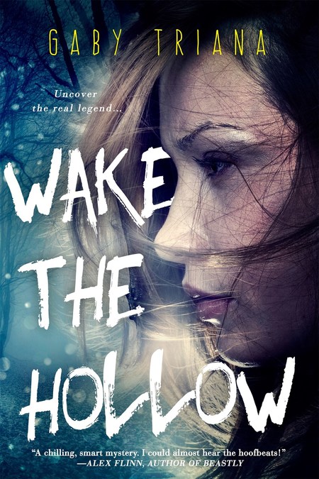 Wake the Hollow by Gaby Triana