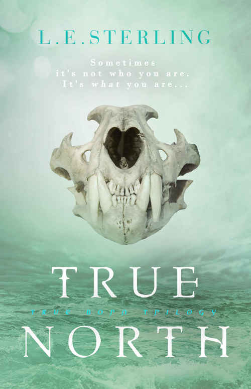 True North by L.E. Sterling