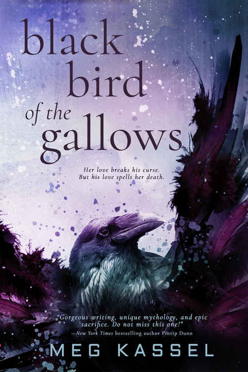 Black Bird of the Gallows by Meg Kassel