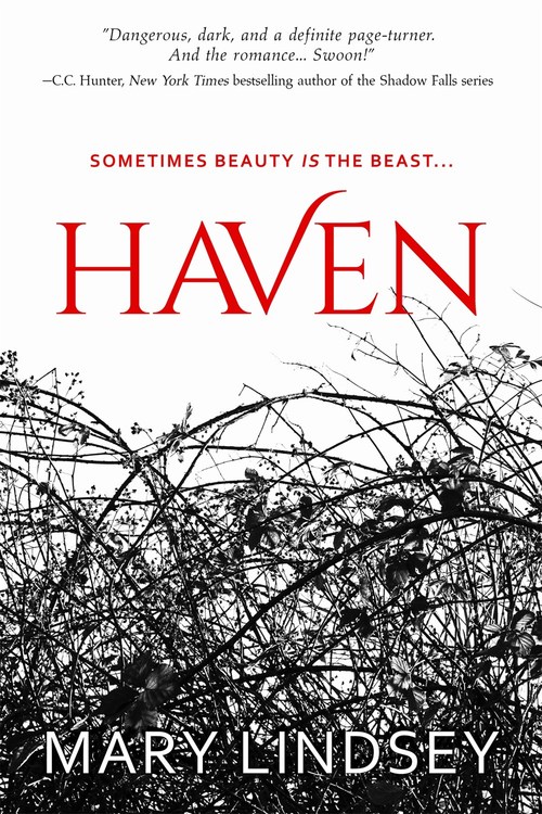 Excerpt of Haven by Mary Lindsey