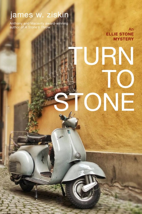 Turn to Stone by James Ziskin