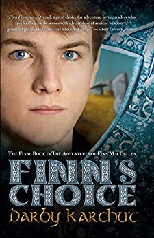 Finn's Choice by Darby Karchut