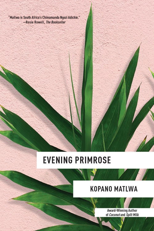 Evening Primrose by Kopano Matlwa