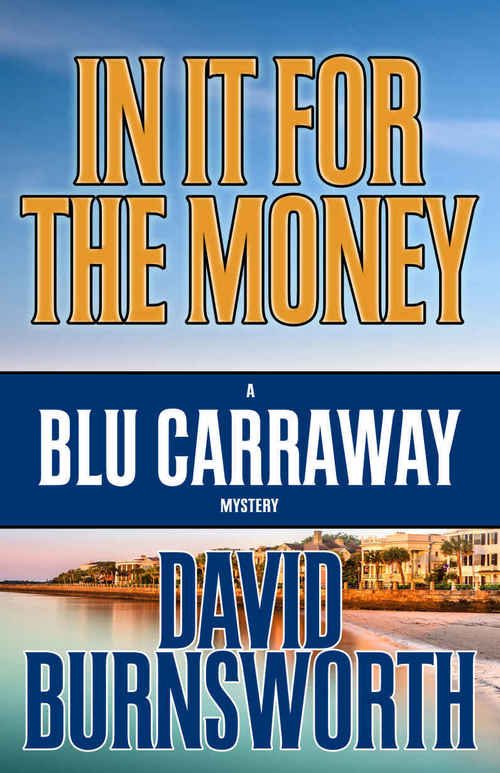 In It For The Money by David Burnsworth