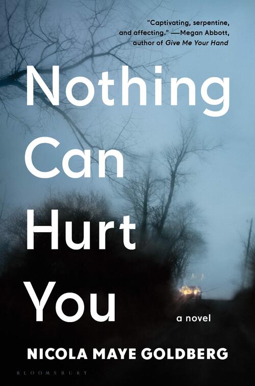 Nothing Can Hurt You by Nicola Maye Goldberg