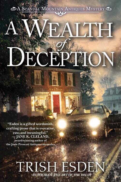 Excerpt of A Wealth of Deception by Trish Esden