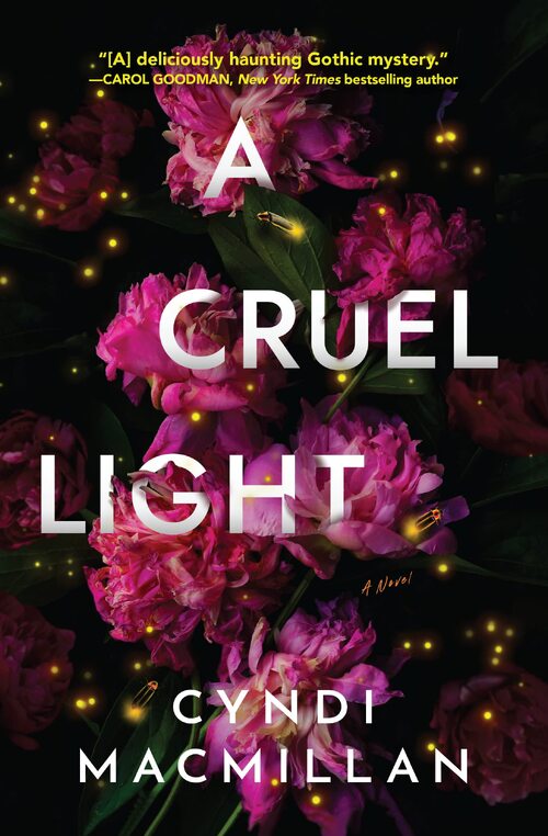 A Cruel Light by Cyndi MacMillan