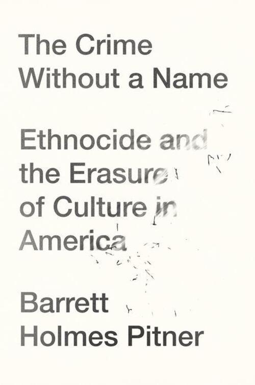 The Crime Without a Name by Barrett Holmes Pitner