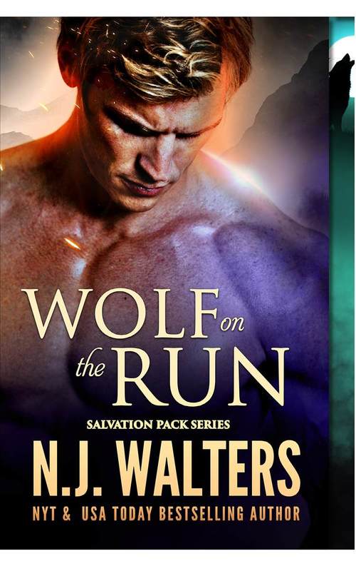 Wolf on the Run by N.J. Walters