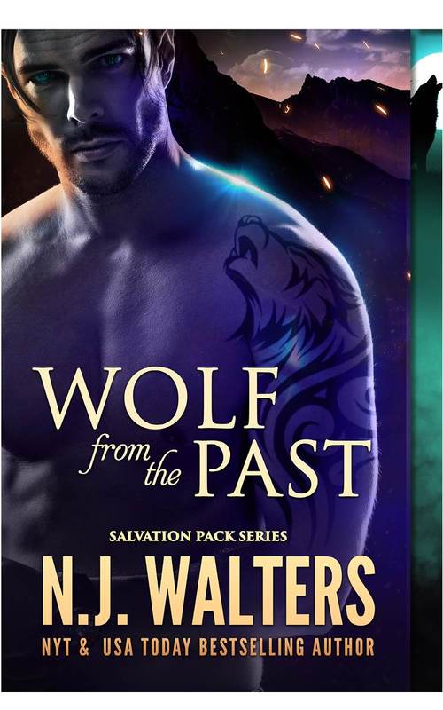 Wolf from the Past by N.J. Walters