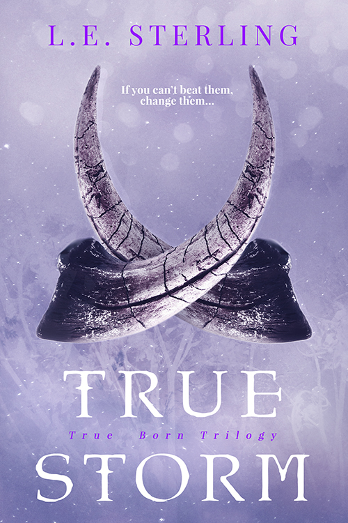 True Storm by L.E. Sterling