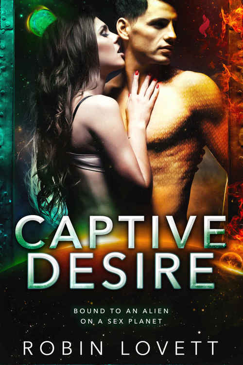 Captive Desire by Robin Lovett