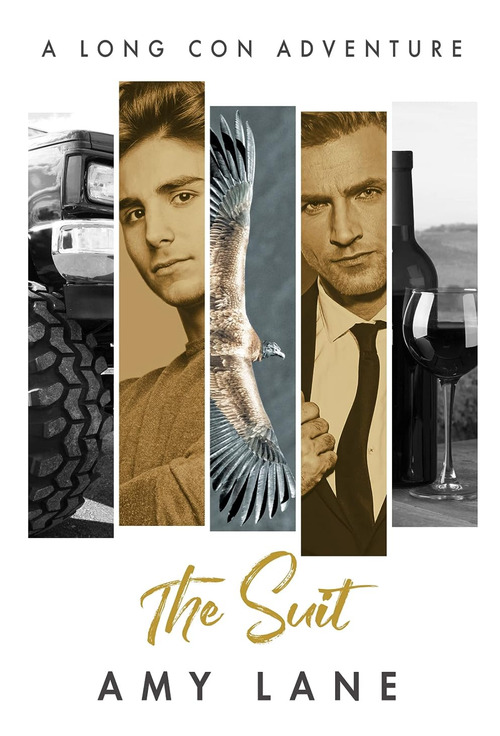 The Suit by Amy Lane