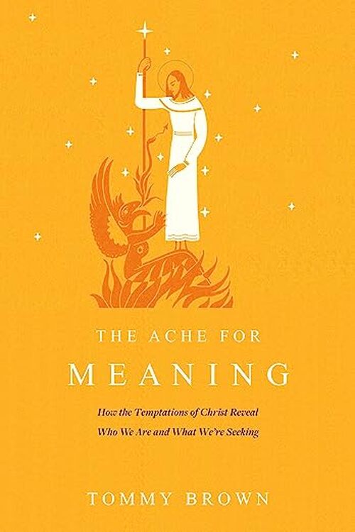 The Ache for Meaning by Tommy Brown