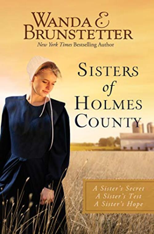 Sisters of Holmes County by Wanda E. Brunstetter