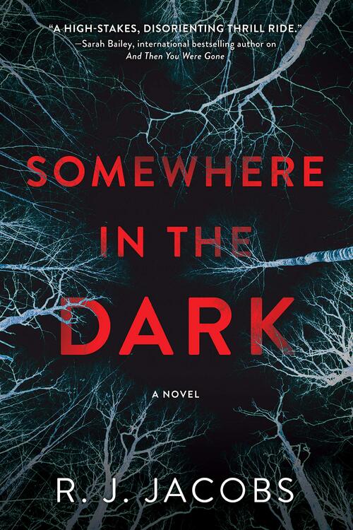 Somewhere in the Dark by R.J. Jacobs