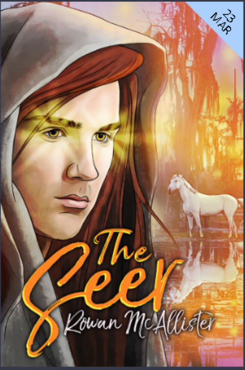The Seer by Rowan McAllister