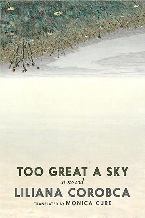 Too Great a Sky by Liliana Corobca