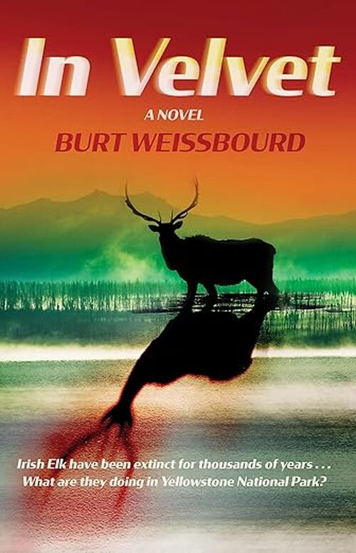 In Velvet by Burt Weissbourd