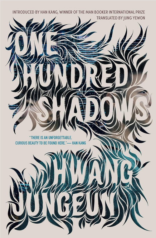 One Hundred Shadows by Hwang Jungeun
